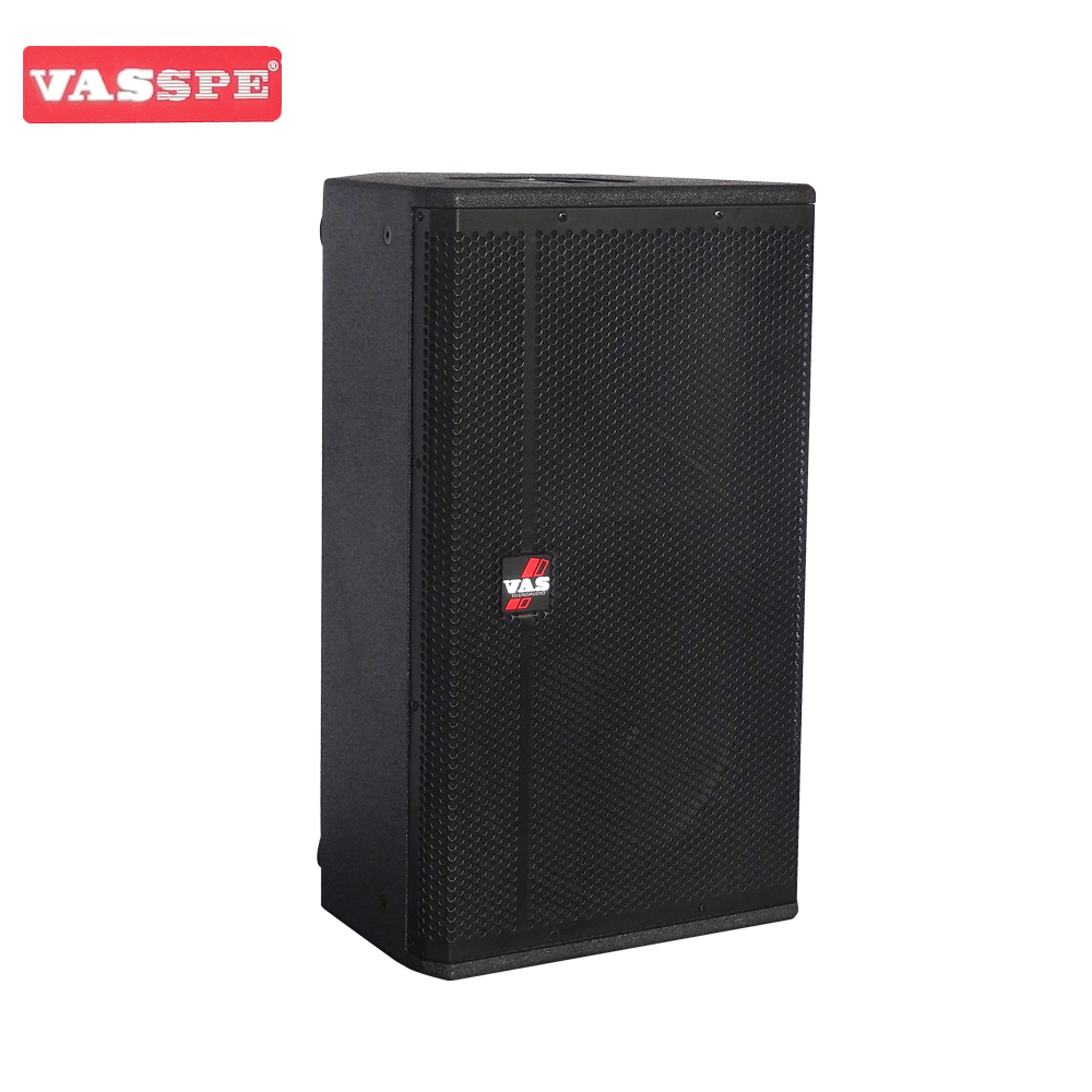 Vasound SP-110 single 10 inch fullrange speaker