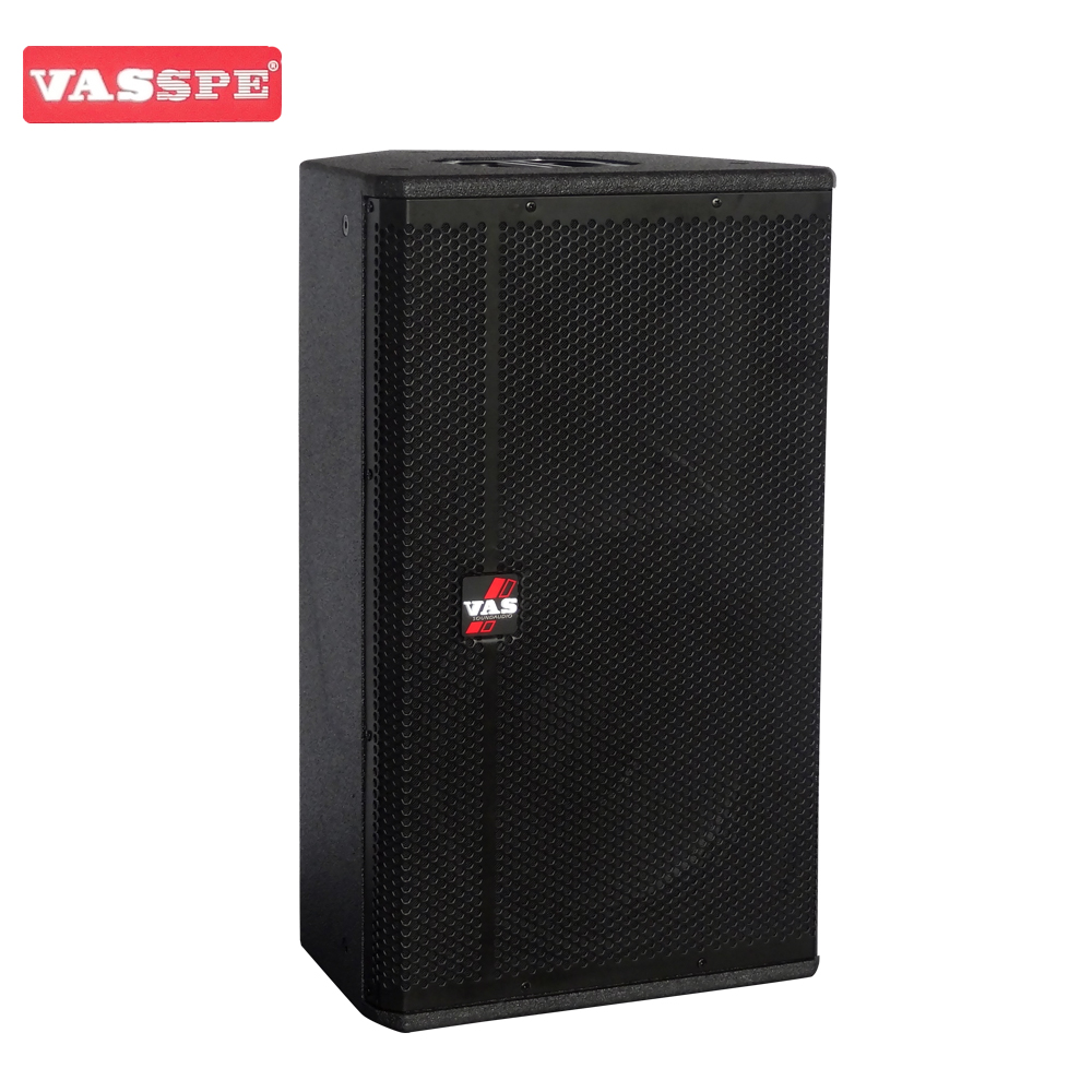Vasound SP-112 single 12 inch fullrange speaker