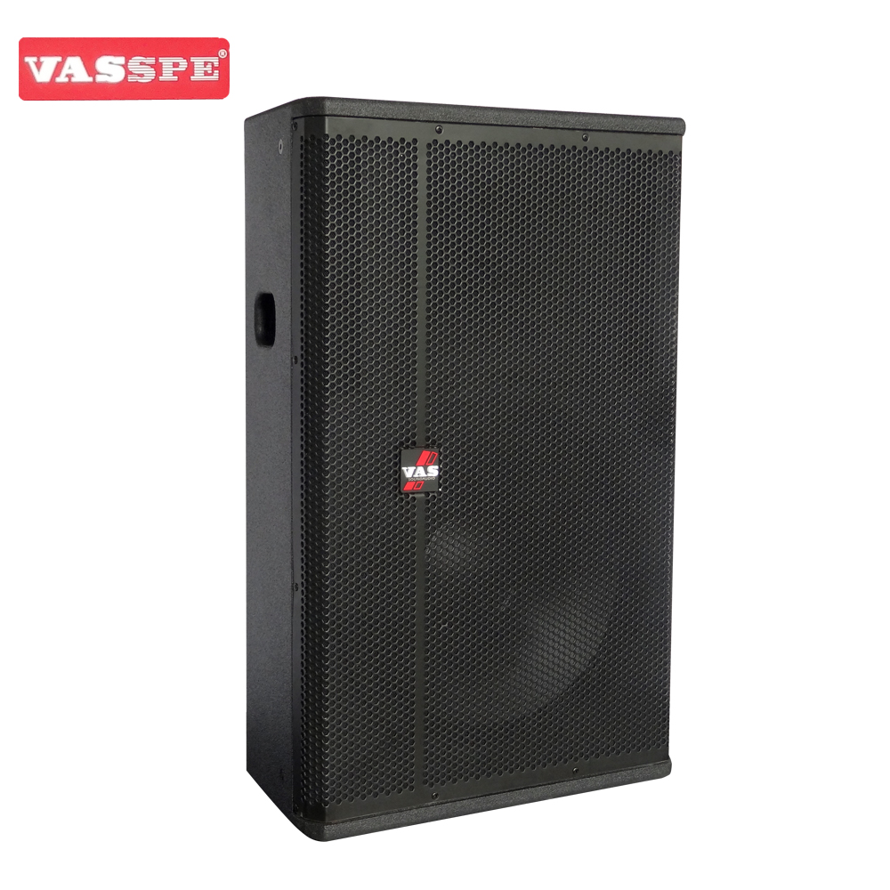 Vasound SP-115 single 15 inch fullrange speaker