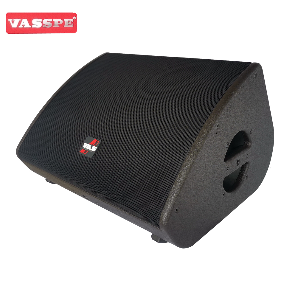 Vasound X-12 Single 12 inch stage monitor