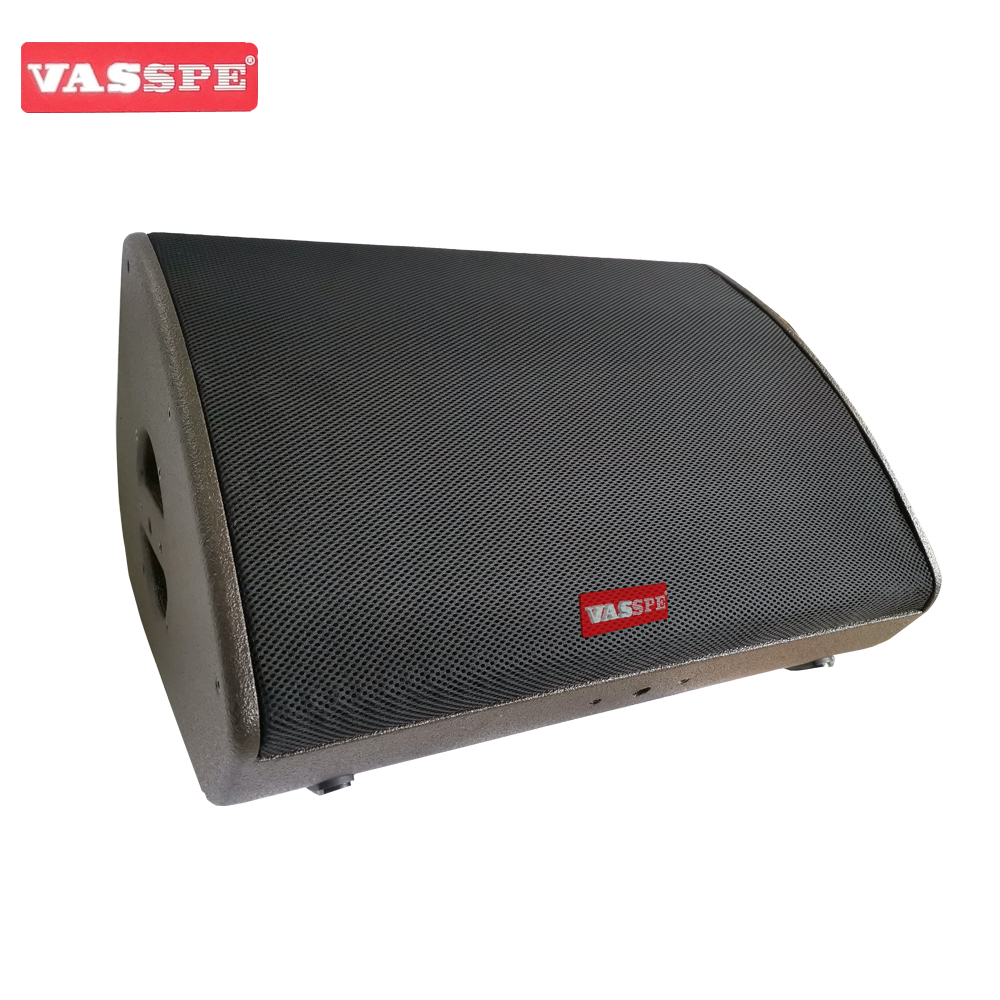 Vasound X-15 single 15 inch stage monitor
