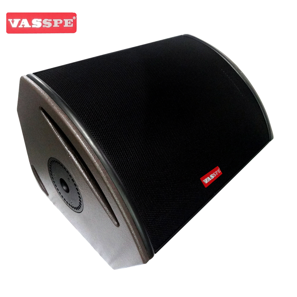 Vasound 115XT HIQ single 15 inch stage monitor