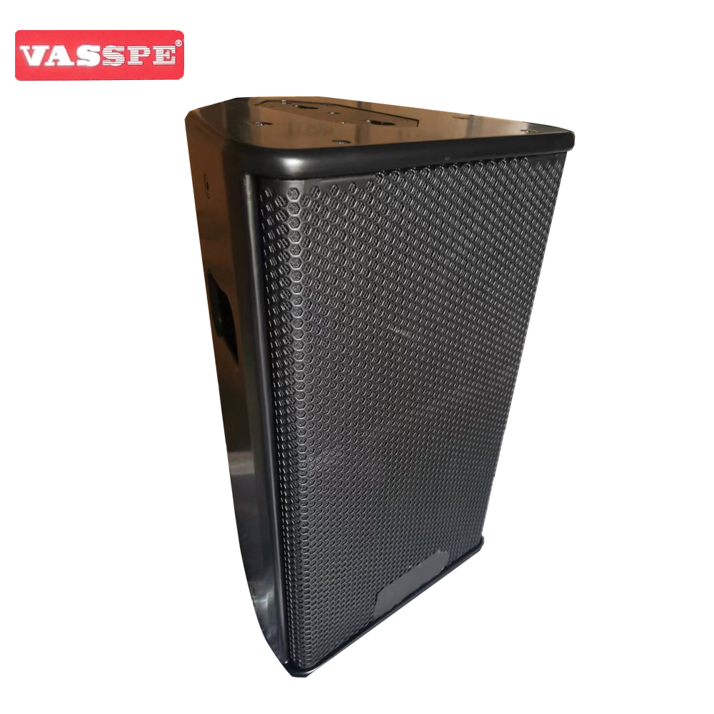 Vasound PS10R2 Single 10 inch fullrange speaker