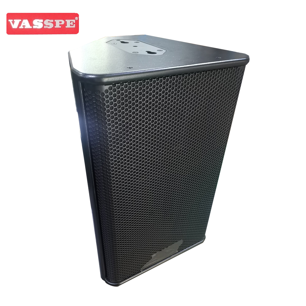 Vasound PS12R2 single 12 inch fullrange speaker
