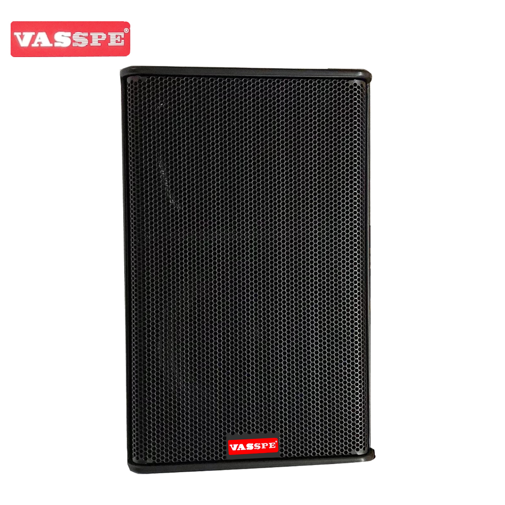Vasound PS15R2 single 15 inch fullrange speaker